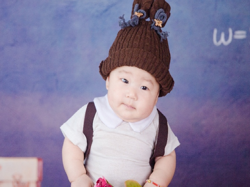 试管婴儿解读（试管最多放多少）